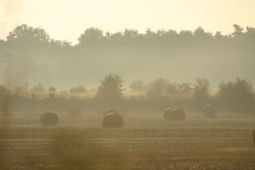 4 Übungen und 2 Akupressurpunkte, die das Erde-Element stärken – und damit deine Mitte – für mehr Entspannung, innere Stabilität, Urvertrauen, Energie und Lebensfreude