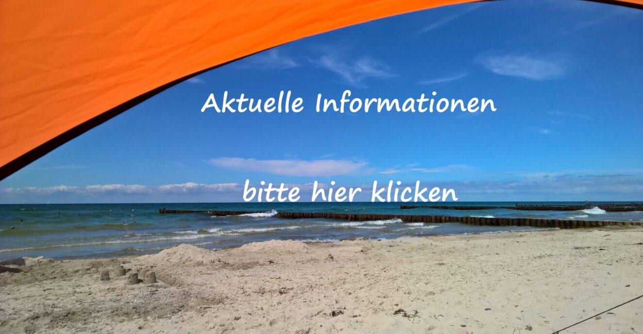 Aktuelles Sommer